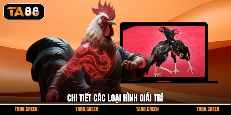 Chi tiết các loại hình giải trí