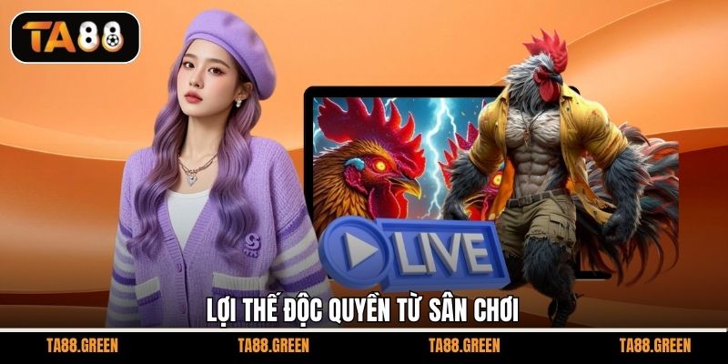Lợi thế độc quyền từ sân chơi