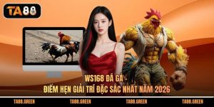 WS168 Đá Gà
